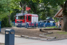 DSC3518